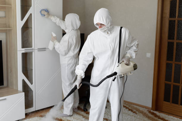 24/7 Emergency Odor Removal experts in Steilacoom, WA