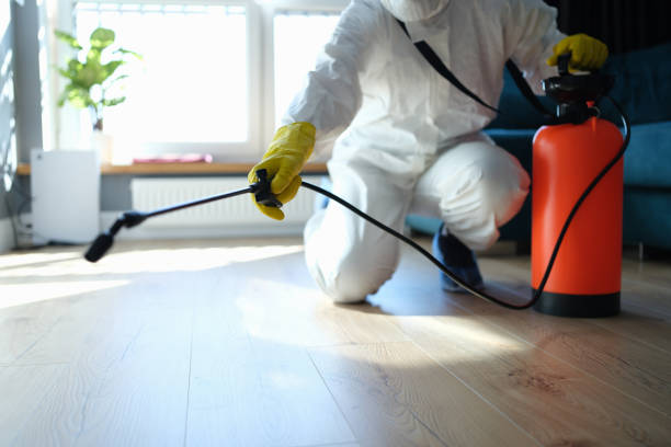 Reliable Odor Removal contractor in Steilacoom, WA by Trauma Clean Pros